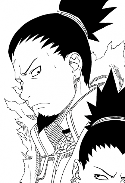 Character 41: Shikaku Nara